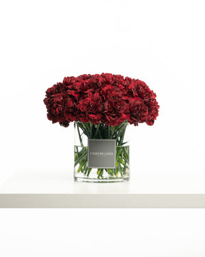 Red Carnations